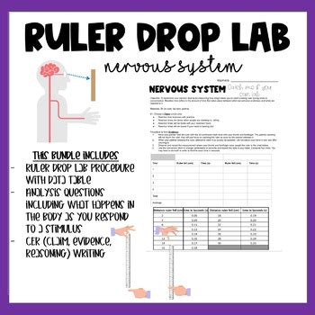 ruler drop test nervous system|ruler drop research.